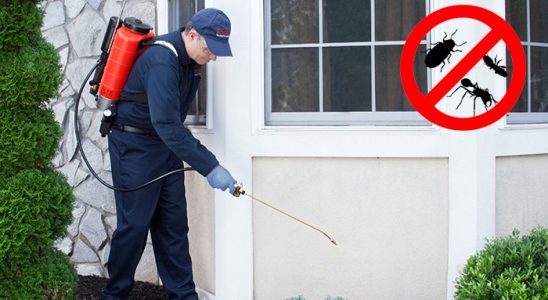 Söğüt Akrep İlaçlama böcek ilaçlama ve haşere kontrolü — ilaclama-tr.com